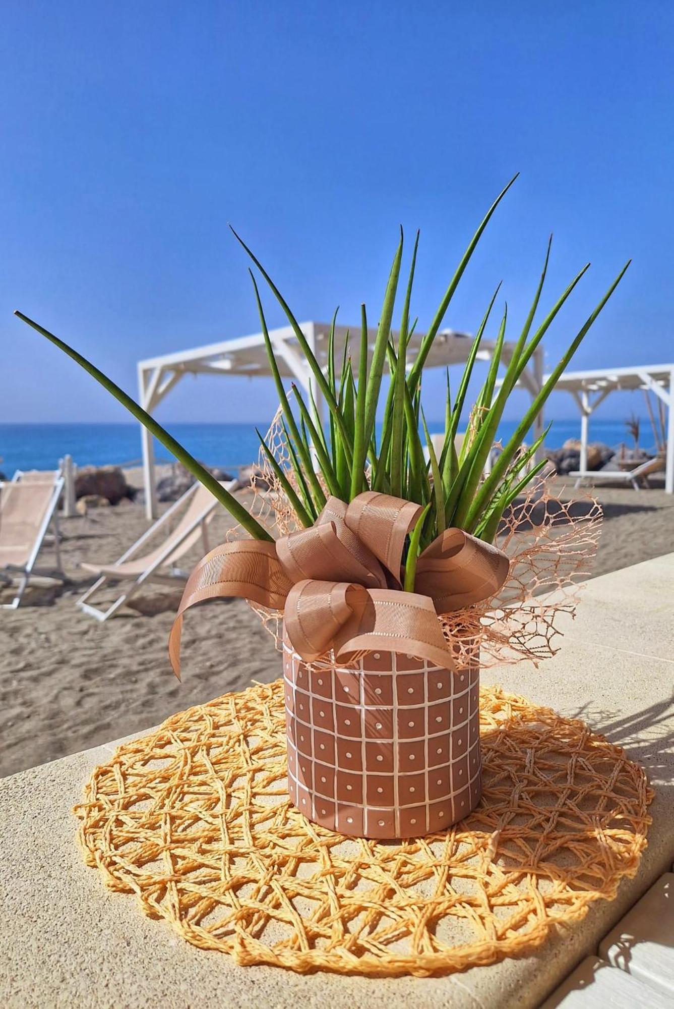 Villa G&G Calabria 肯波拉圣吉奥瓦尼 外观 照片
